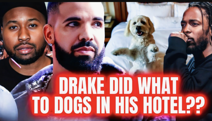 Full Video: DJ Akademiks Drake Dog Video [WATCH]