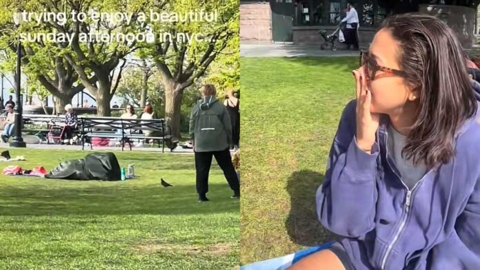 Shocking NYC Park Blanket Couple Video Goes Viral