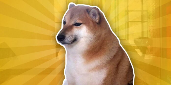 Kabosu the Doge meme dog dies at age 18, much RIP