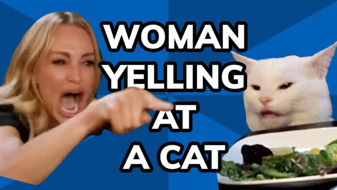 Meme History: Woman Yelling At Cat