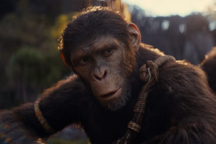 Peter Macon Dishes on Wild Fan Tweets from ‘Kingdom of the Planet of the Apes’ Fandom