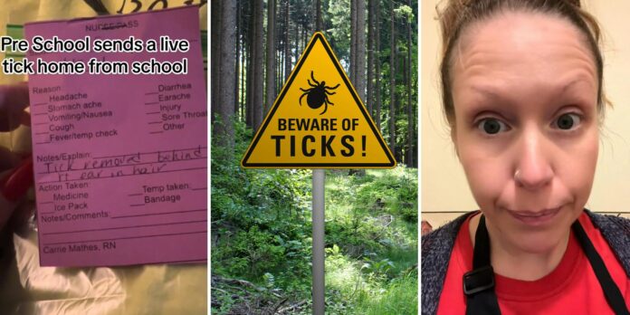 ‘Why would I want the tick?’: Viewers divided after mom blasts school for sending live tick home with her daughter
