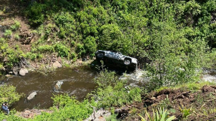 A dog helped his owner get rescued after a car crash in a remote, steep ravine in Oregon