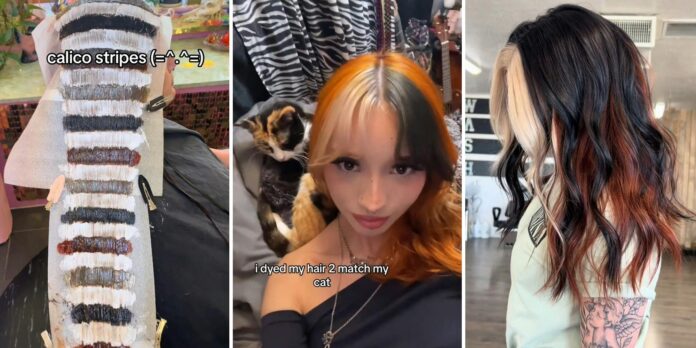 Embrace kitty vibes with the one-of-a-kind calico hair trend