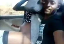  Getting fucked in a moving car