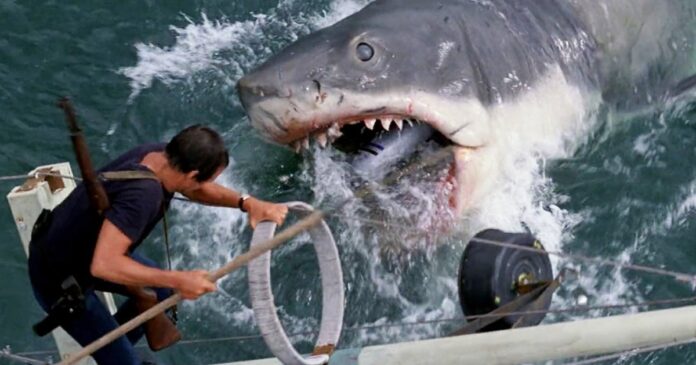 National Geographic and Amblin are celebrating the 50th anniversary of Steven Spielberg's Jaws with the documentary Jaws @ 50