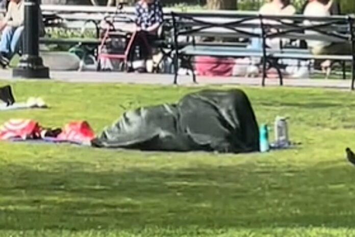 NYC Park Blanket Couple Video Goes Viral