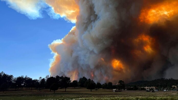 Rains help firefighters gain ground on large wildfires in southern New Mexico