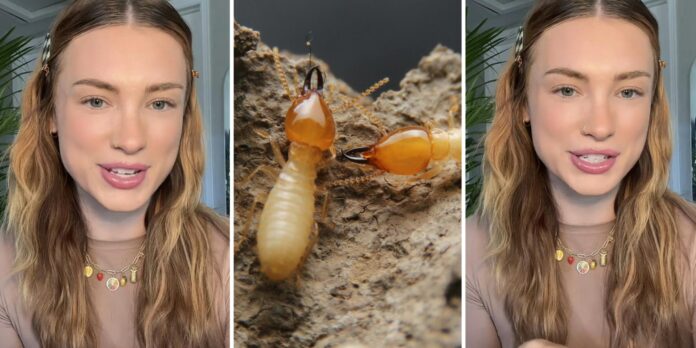 ‘I am SO GLAD you have texts from her’: New homeowner says she got ‘scammed’ by real estate agent and has $50,000 debt and termites