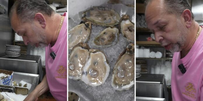 ‘I’ve never had oysters before … and now that I know I’ll never try them’: Clam bar cook shares the truth about oysters