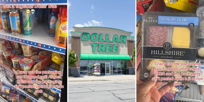 ‘The packaging says it’s good until August 2024’: Dollar Tree shopper can’t believe what Hillshire Snacking Small Plates looks like