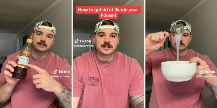 ‘These flies nowadays are super bold’: Man shares how to get rid of flies in your house. It only takes 3 household ingredients