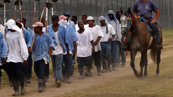 As temperatures soar, judge tells Louisiana to help protect prisoners working in fields