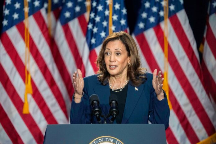 Kamala Harris energises Democrats after Biden exits race