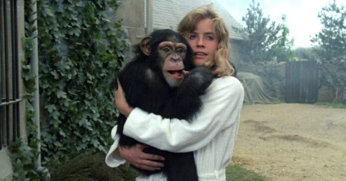 The Best Horror Movie You Never Saw series looks back at the 1986 killer ape movie Link, starring Elisabeth Shue