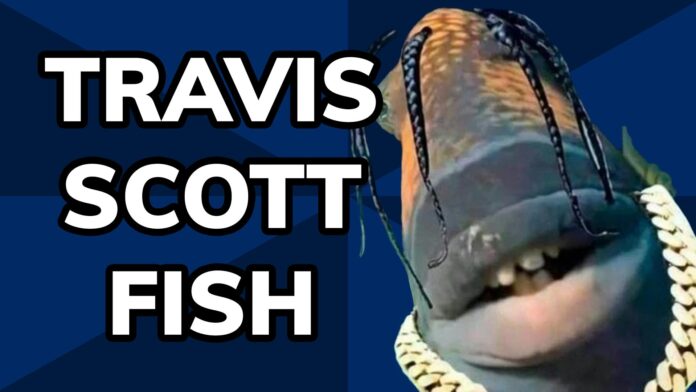 Meme History: Travis Scott Fish