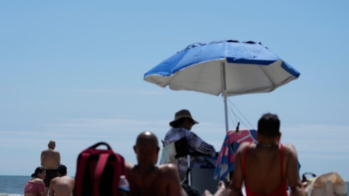 On NYC beaches, angry birds are fighting drones on patrol for sharks and swimmers