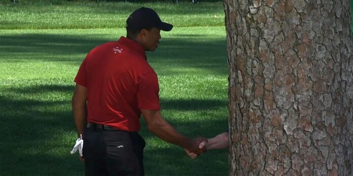 Tiger Woods shaking hands with a tree is one of golf’s funniest memes