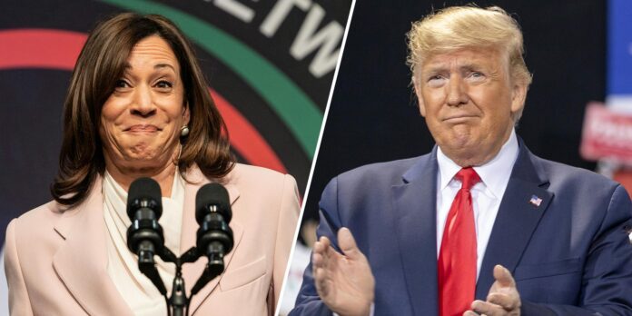 Trump really did once cut a check to Kamala Harris for office