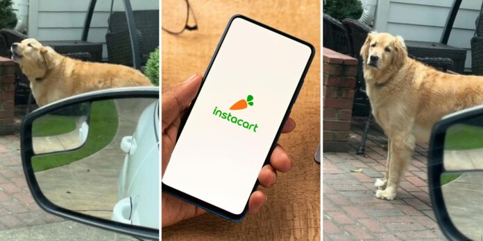 ‘This right here why I stopped’: Former Instacart driver complains about dog in yard. It backfires