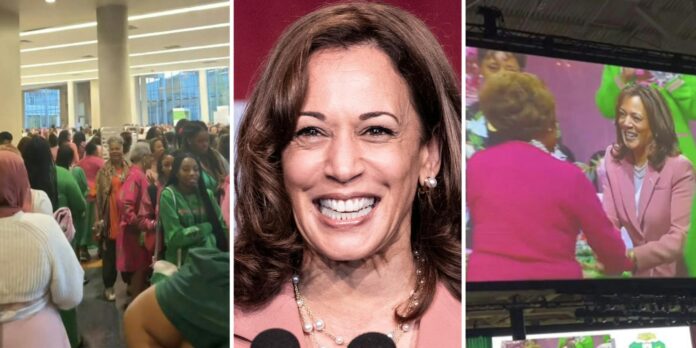 ‘Trump is going up against every AKA in the country’: Enthusiasm from Kamala Harris’ sorority runs high