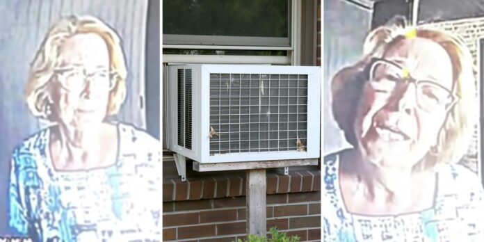 ‘What would the charge be??’: White neighbor threatens to call cop on Black woman for leaving her A/C on