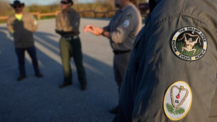 A hunter’s graveyard shift: grabbing pythons in the Everglades