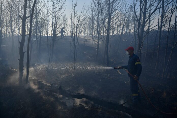 Greece battles wildfires, hundreds evacuated near Athens