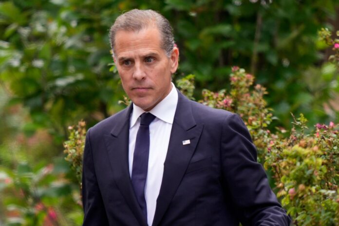 Hunter Biden sought US help for Italian energy project