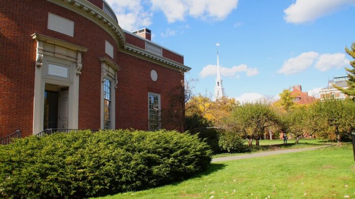 Three students from East London School have been accepted into American Ivy League schools.