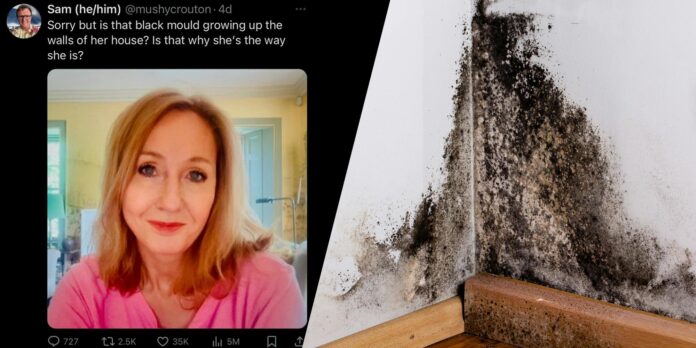 JK Rowling black mold memes spread after author changes her Twitter PFP