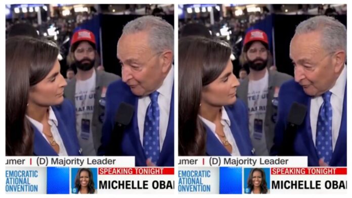 PHOTO: Outrage as Matt Walsh in camouflage as he photobombed CNN at DNC Convention floor 2024 wearing fake wig