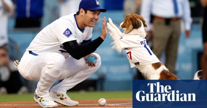 Shohei Ohtani and very good boy Decoy share first-pitch duties on bobblehead night