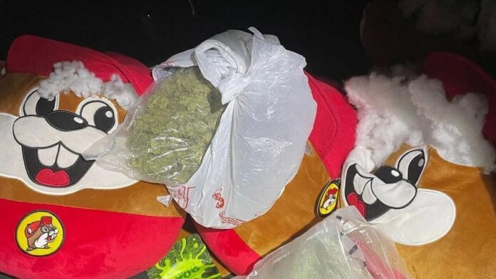 Texas police find drugs hidden in Buc-ee's plush toys