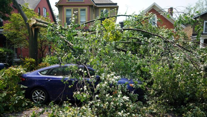 Tornado briefly sweeps into Buffalo, damaging buildings and scattering tree limbs