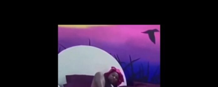 VIDEO: BBNaija S9 housemate, Wanni Twinny, scratching her pussy in viral leaked video on the bed