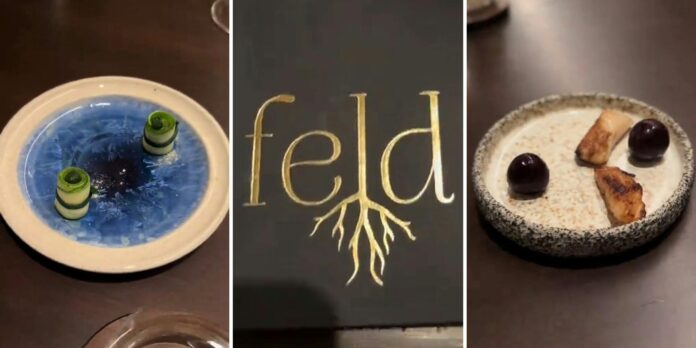 ‘Are those not just ingredients?’: Restaurant customer pays $200 for tasting course at Feld. He can’t believe the dessert