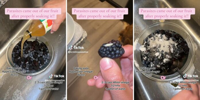 ‘I always find that vinegar leaves the taste behind’: Customer says you’re washing your produce wrong