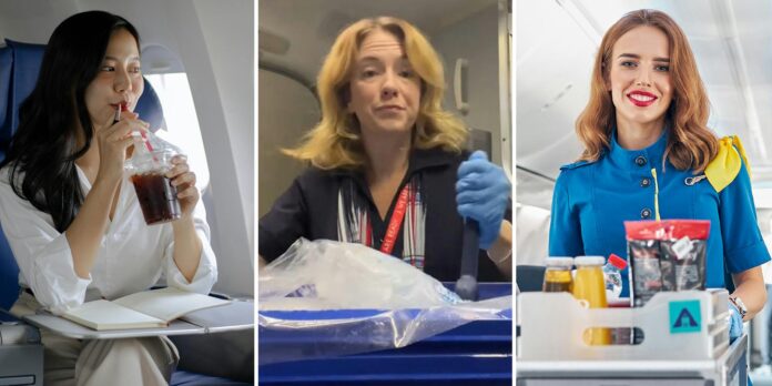 ‘I have avoided ice for years on flights’: Flight attendant puts the rumors about the airplane ice to bed