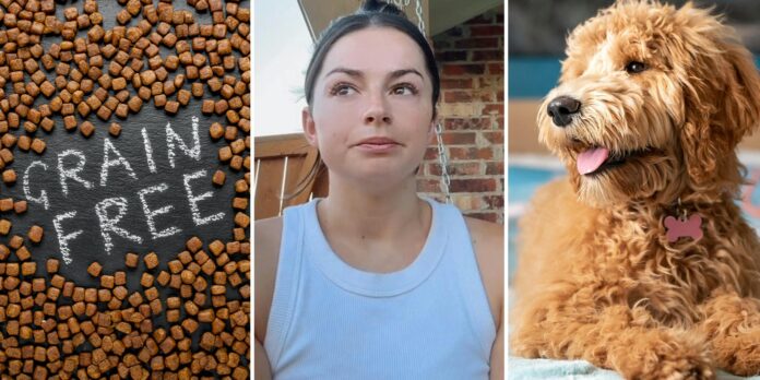 ‘Royal Canine, Purina Pro Plan, and Hills are 3 of the few not associated’: Goldendoodle owner issues warning over grain-free dog food after tragedy