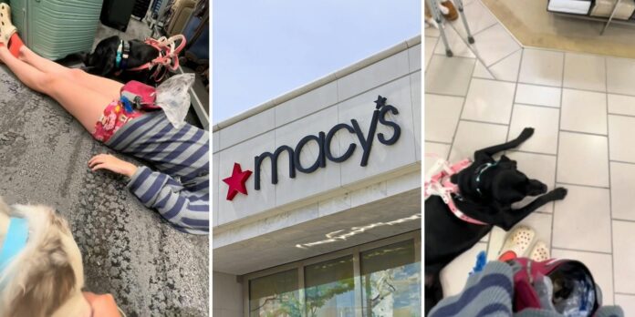 ‘You obviously don’t understand’: Macy’s worker refuses to allow service dog in store. The customer passes out