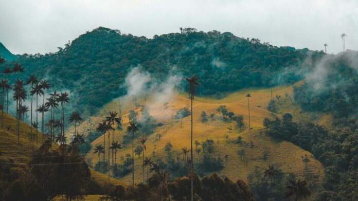 Colombia, the host nation for this year's United Nations COP16 biodiversity conference, faced a grim reality in 2023. The country recorded the highest number of environmental and land rights defenders killed, with a staggering 79 deaths, as reported by UK advocacy group Global Witness.