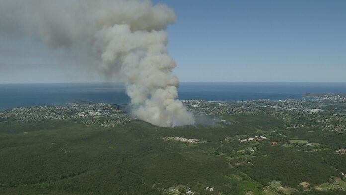 Fire on Sydney’s northern beaches spreads, too late to evacuate