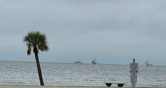 Gulf Coast residents on alert for potential tropical storm