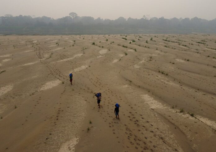 Latin American drought sparks severe forest fires across region