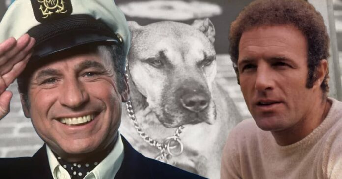 mel brooks dog