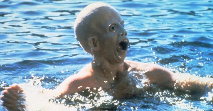 ari lehman