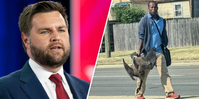 Redditor dragged into migrant pet-eating fears thanks to photo of man with a goose lashes out at JD Vance