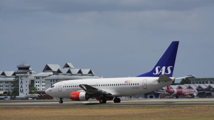 Scandinavian airlines grounds flight, mouse leaps from food tray