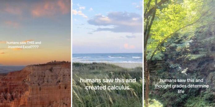 The ‘Humans Saw This’ meme, explained